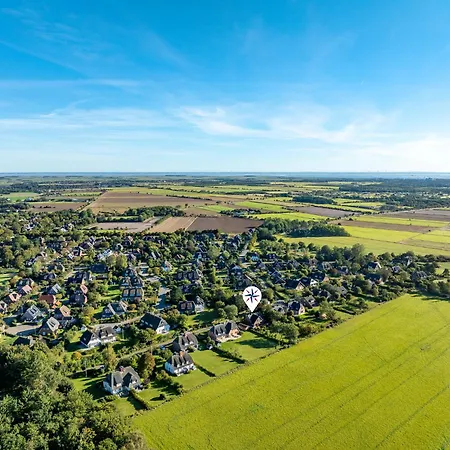 Am Feld